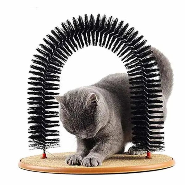 brosse grattoir