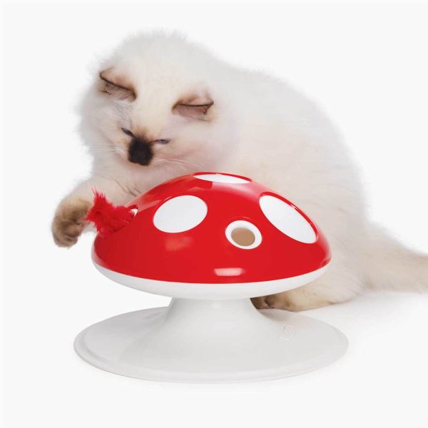 champignon jouet interactif pour chat
