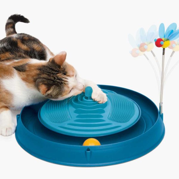circuit avec balle et bandes de massage avec herbe à chat