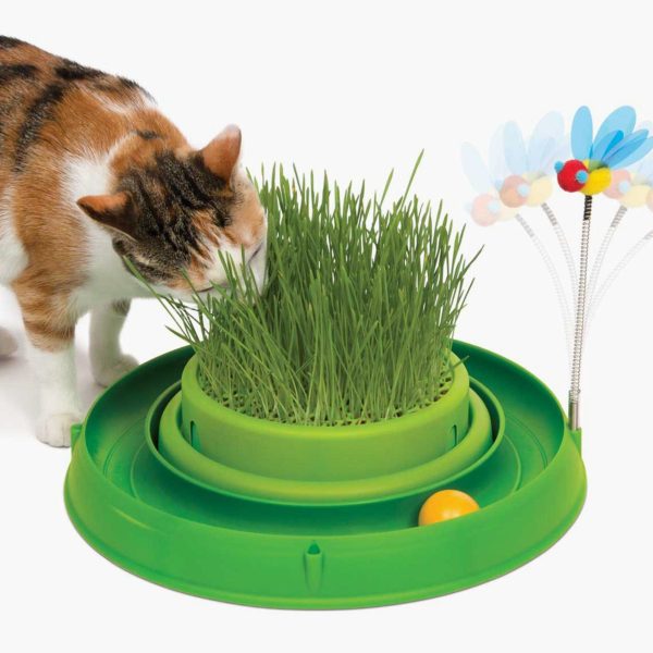 circuit avec balle et herbe pour chat