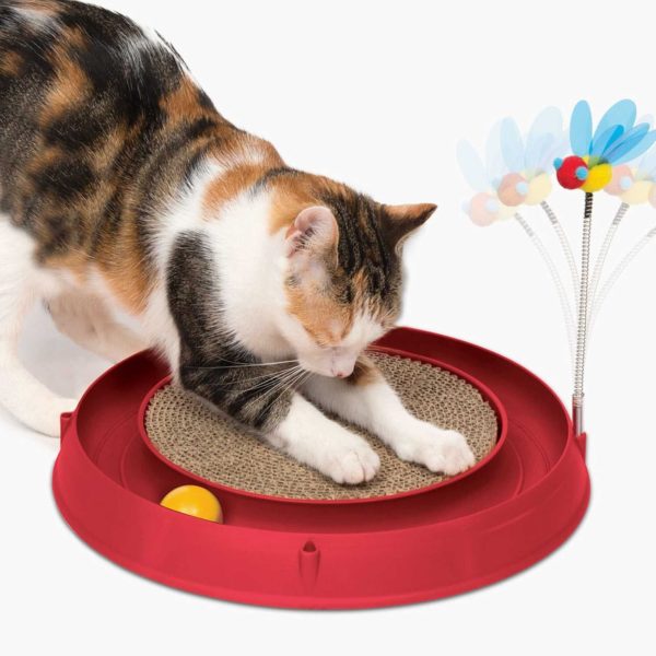 circuit avec balle pour chat