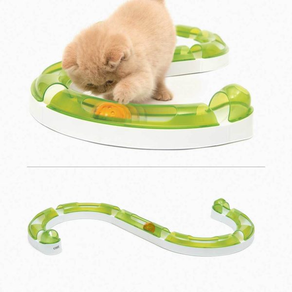 circuit de jeu avec balle pour chat
