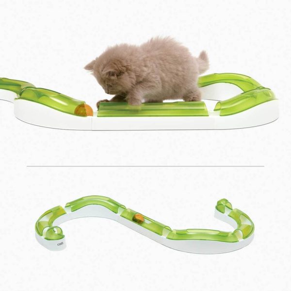 circuit de jeu surélevé avec balle pour chat