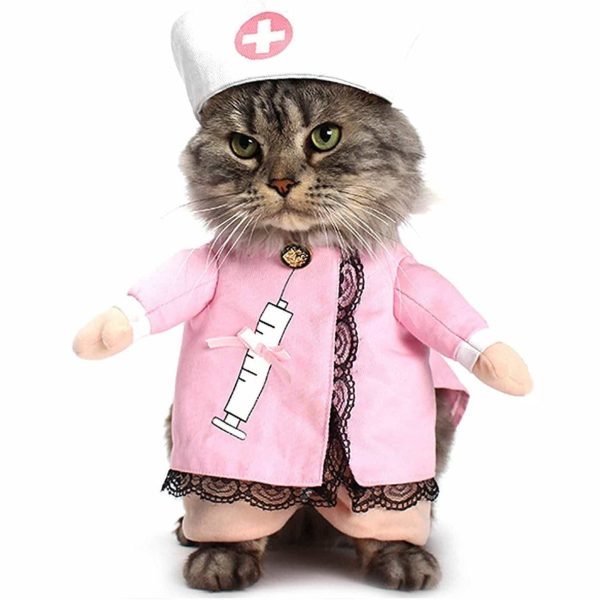 costume pour chat infirmière