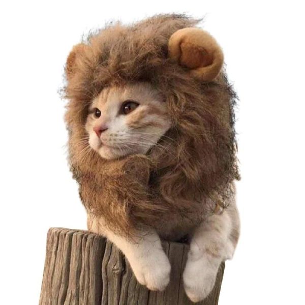 costume pour chat lion