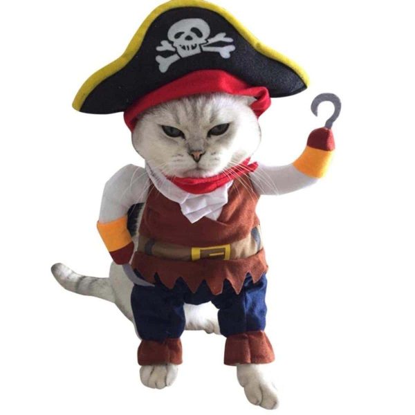 costume pour chat pirate