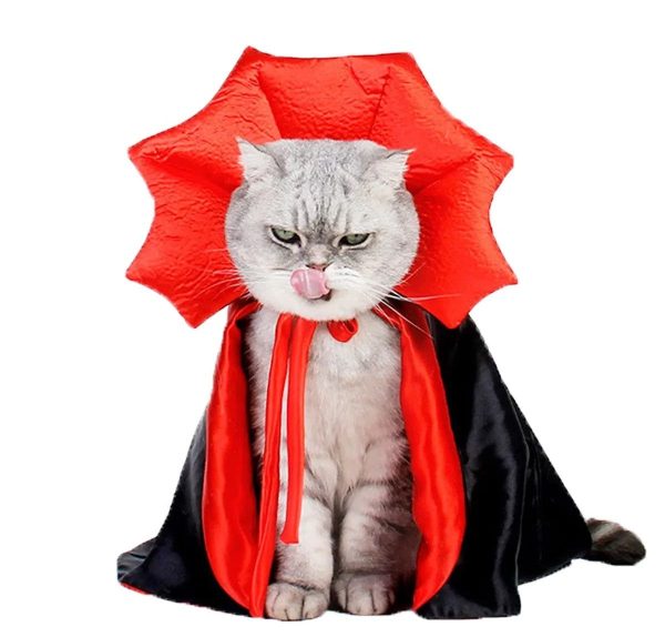 costume pour chat vampire
