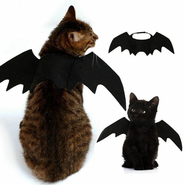 déguisement de chauve souris Batcat