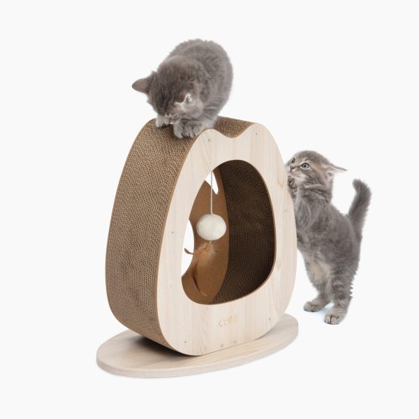 griffoir pour chat large