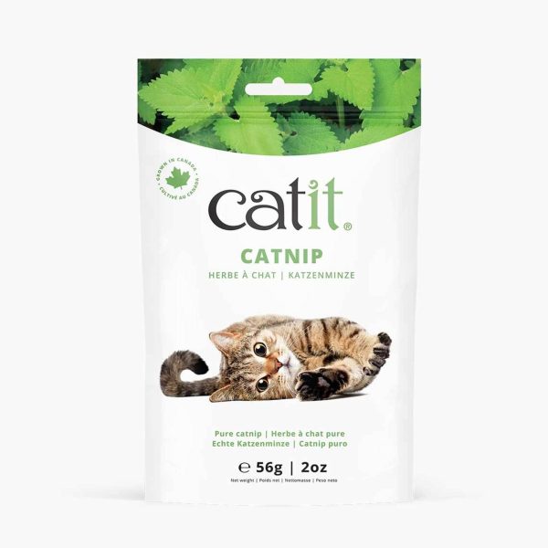 herbe à chat pure Catit