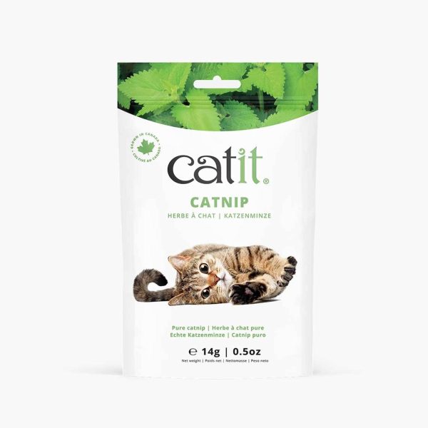 herbe à chat pure Catit 14g