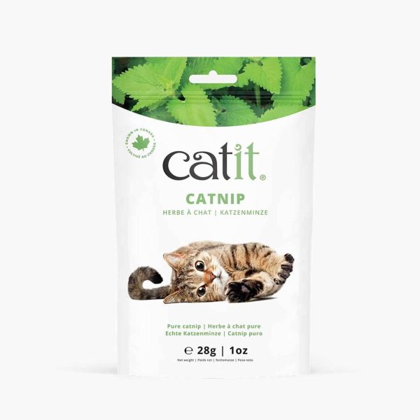 herbe à chat pure Catit