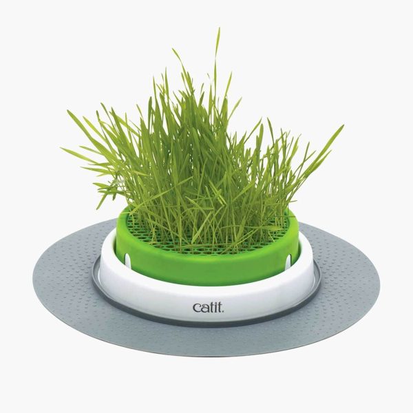 jardinière d'herbe pour chat Catit Senses