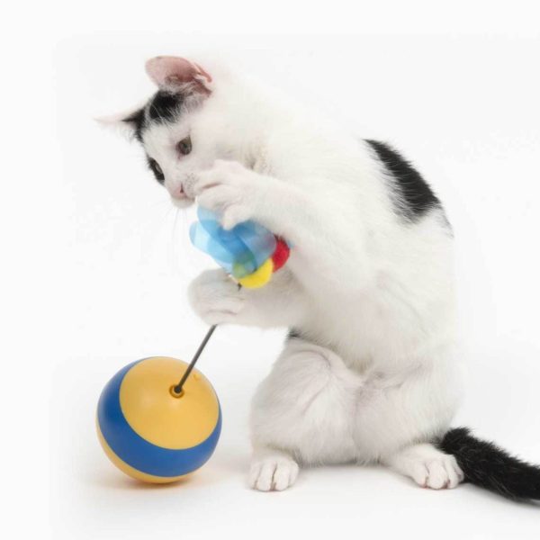 jouet abeille culbuto pour chat