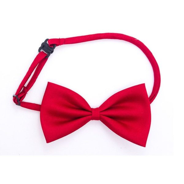 noeud papillon pour chat gentleman