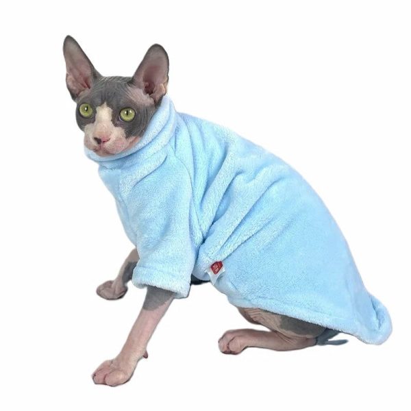 pull pour chat