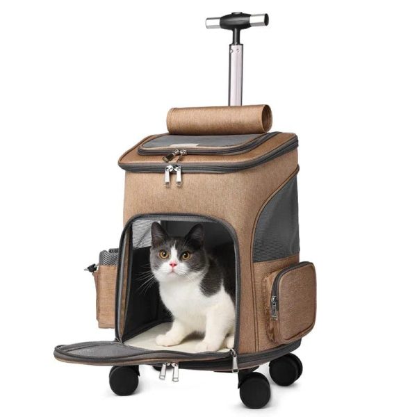 sac transport chat XXL