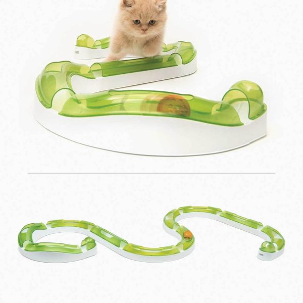 supercircuit de jeu avec balle pour chat